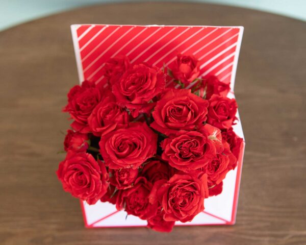 Envío de sobre con rosas especial San Valentín y eventos de enamorados vista aerea