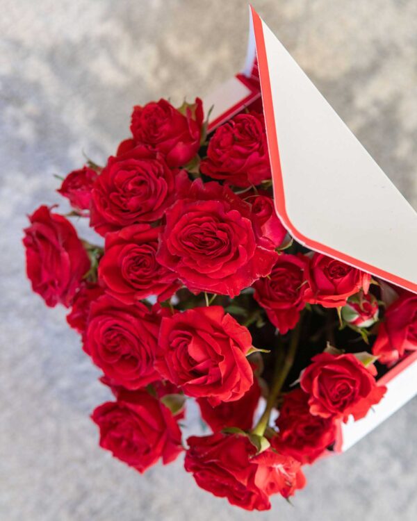 Envío de sobre con rosas especial San Valentín y eventos de enamorados imagen superior cercana